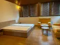 Продава къща в Петрич, снимка 6