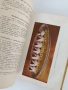 Книга за домакинята 1958г, снимка 9