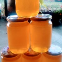 Пчелен мед, снимка 1 - Пчелни продукти - 42019327