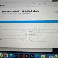 HDD HITACHI Apple 250GB hdd, снимка 5 - Твърди дискове - 44550013