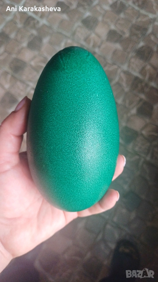 Разплодни яйца от ему, снимка 1