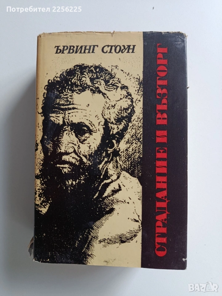 Страдание и възторг, снимка 1