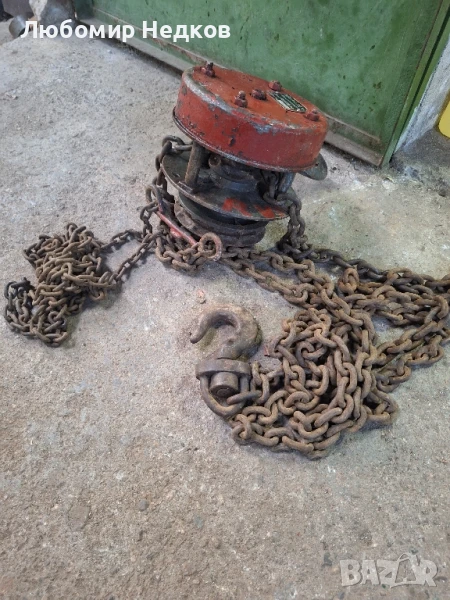 Лебедка швейцарска, снимка 1