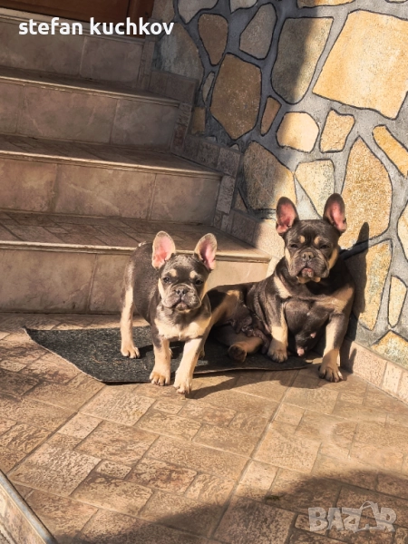 Момиче, снимка 1