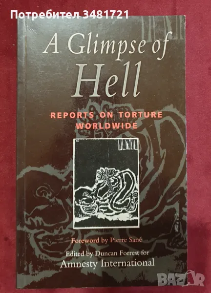 Поглед в ада - доклади за изтезанията по света / A Glimpse of Hell. Reports on Torture Worldwide, снимка 1