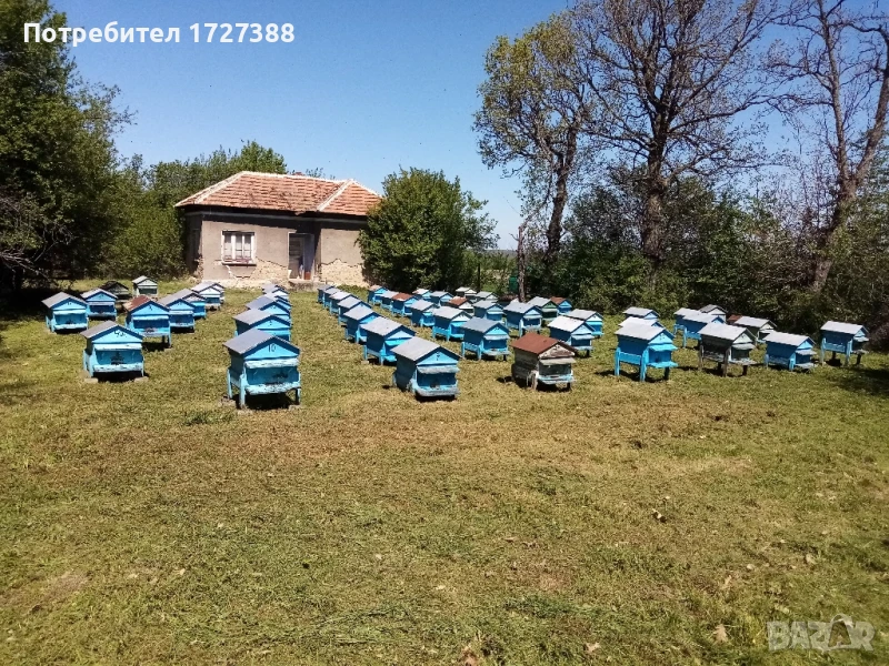 кошери , снимка 1