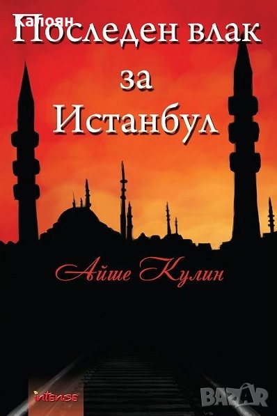 Айше Кулин - Последен влак за Истанбул (2012), снимка 1