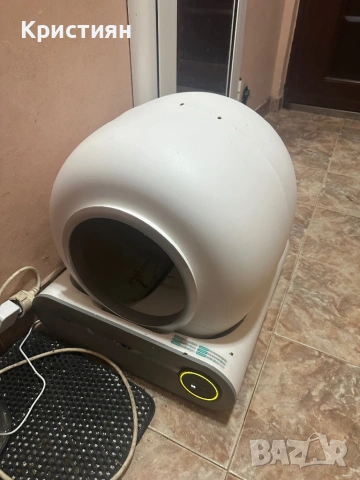 Бенгалска котка момиче, снимка 6 - Бенгалски - 53664599