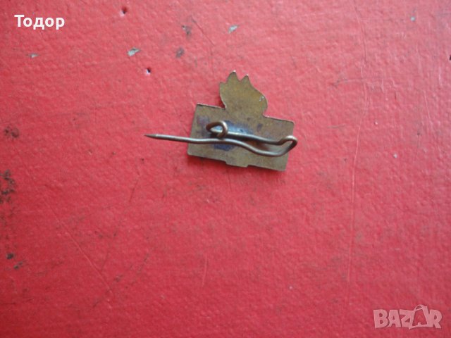 Знак значка БФС Бронз емайл , снимка 5 - Колекции - 42197712