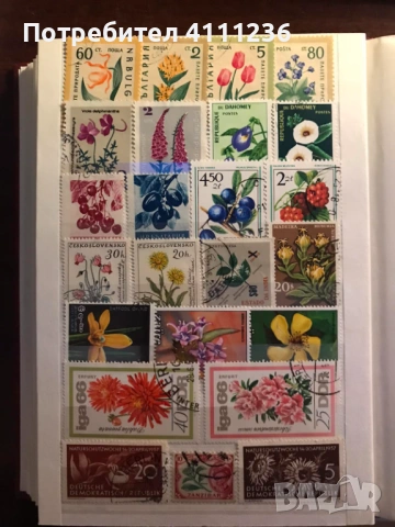 Класьор с марки на тема "Цветя", снимка 15 - Филателия - 53611717
