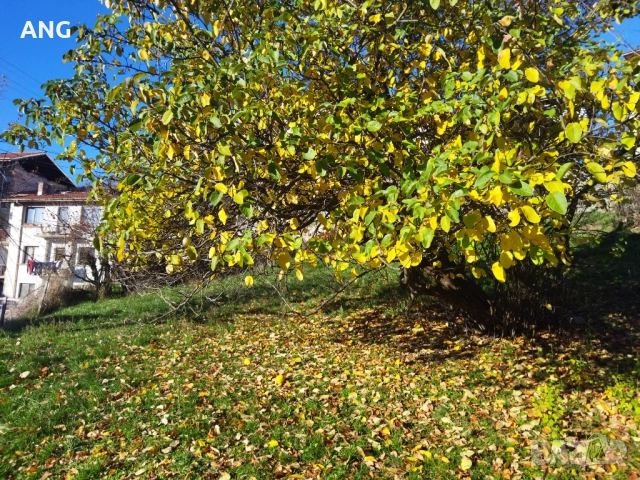 Продава парцел с проект за къща в гр.Смолян, снимка 9 - Парцели - 52646739