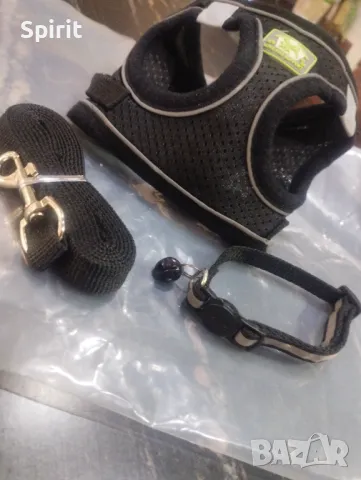 Комплект за мини и дребни породи кучета , снимка 2 - За кучета - 47808967