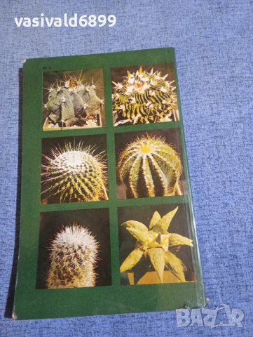 Книга за кактуси , снимка 3 - Специализирана литература - 52434762