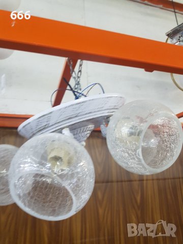 Полилей, снимка 2 - Полилеи - 41977103