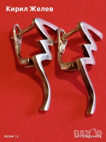 Сребърни дамски обеци СВЕТКАВИЦА подходящ аксесоар за ежедневието 17136, снимка 9 - Обеци - 52863645