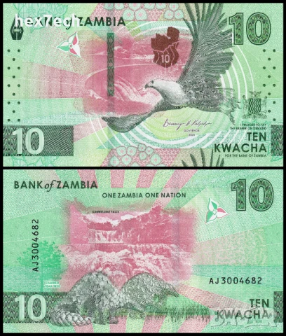 ❤️ ⭐ Замбия 2024 10 квача UNC нова ⭐ ❤️