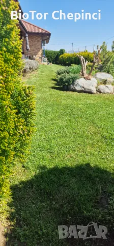 🌿Наторяване на трева с тор от Калифорнийски червей, снимка 8 - Тор и почвени смеси - 49967903