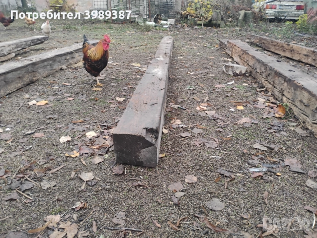 Дървени греди 20х20 см. 4 метра от 1908 година (много добро състояние), снимка 6 - Други стоки за дома - 52639809