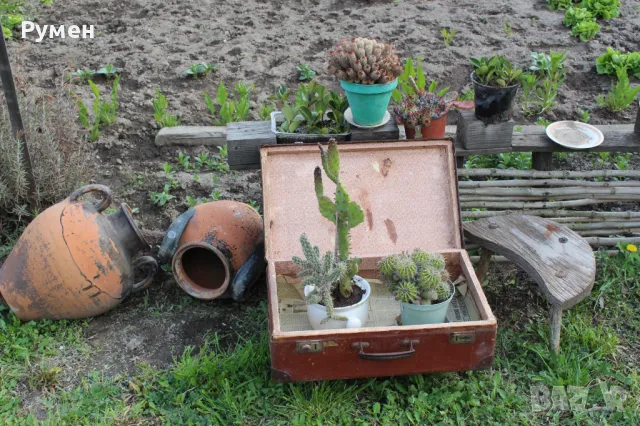 Куфар за декорация, снимка 6 - Антикварни и старинни предмети - 49778996