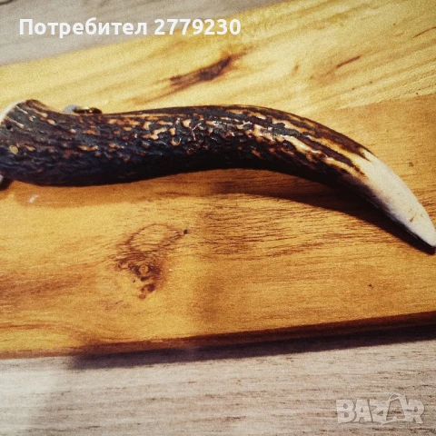 Стара Сойка с Еленов рог и орнаменти , снимка 15 - Други ценни предмети - 50850747