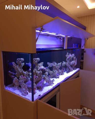 Изработвам соленоводни аквариуми по желание и размер на клиента , снимка 12 - Аквариуми - 42346824