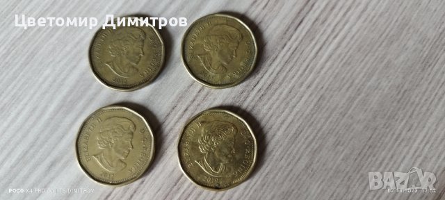Монети 1 долар Канада, снимка 3 - Нумизматика и бонистика - 42413121