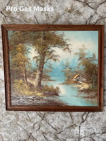 Голяма Картина 65/55 Маслени Бои Внос Германия с дървена рамка Пейзаж Река Гора МаслО, снимка 1