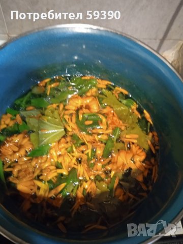 Мехлем от невен, индрише,алое, снимка 4 - Други - 41423035