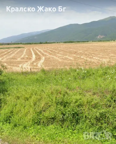 Продавам парцел до Регулация !, снимка 2 - Парцели - 49246886