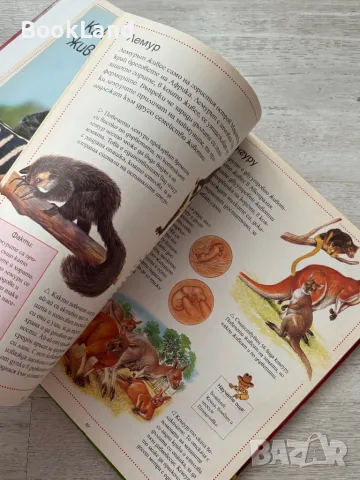 Енциклопедия на животните, Софтпрес, снимка 11 - Детски книжки - 49267308