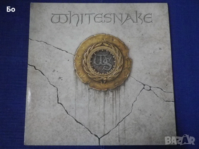 грамофонни плочи WhiteSnake , снимка 11 - Грамофонни плочи - 52474021