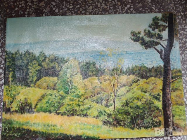 картина-пейзаж, снимка 2 - Картини - 34031889