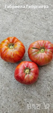 Домат (Розов и червен), снимка 2 - Домашни продукти - 55724982