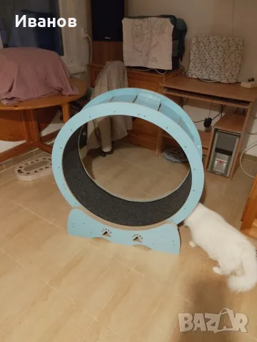 фитнес за котки- син
