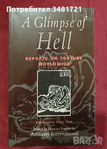 Поглед в ада - доклади за изтезанията по света / A Glimpse of Hell. Reports on Torture Worldwide, снимка 1