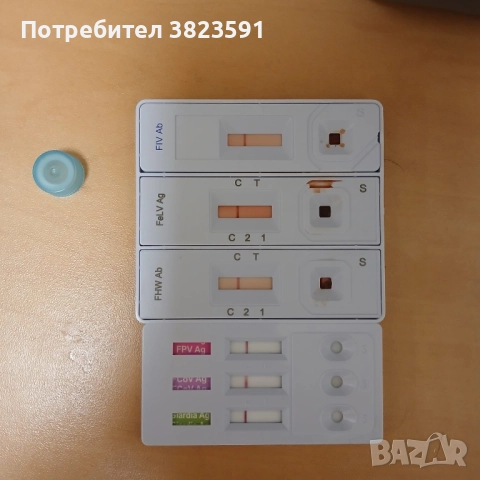 Подарявам мъжkо котенце на 4 месеца - Батман, снимка 13 - Други - 51780705