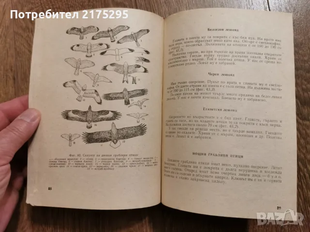Наръчник на ловеца и риболовеца-Земиздат 1974г., снимка 12 - Специализирана литература - 49699300