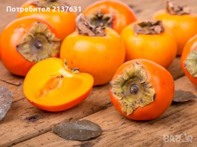 СТУДОУСТОЙЧИВИ ФИДАНКИ от ЛИЦЕНЗИРАН РАЗСАДНИК : РАЙСКА ЯБЪЛКА, НАР, БАДЕМ, КРУША, АРОНИЯ, КАСИС и д, снимка 1