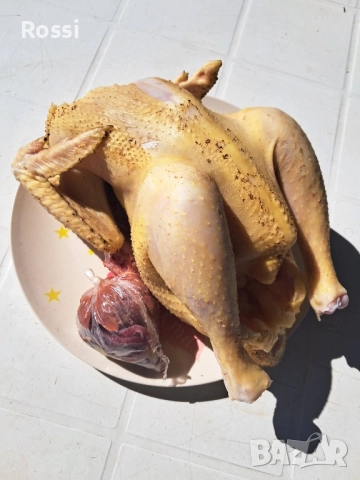 Домашно КОЗЕ сирене,кашкавал,мляко, снимка 15 - Домашни продукти - 33065789