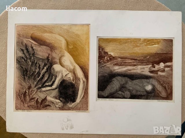 ЕЛКА НАЙДЕНОВА диптих, снимка 2 - Картини - 33822647