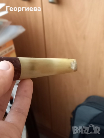 Лула с кокален мущук, снимка 3 - Лули - 51466186