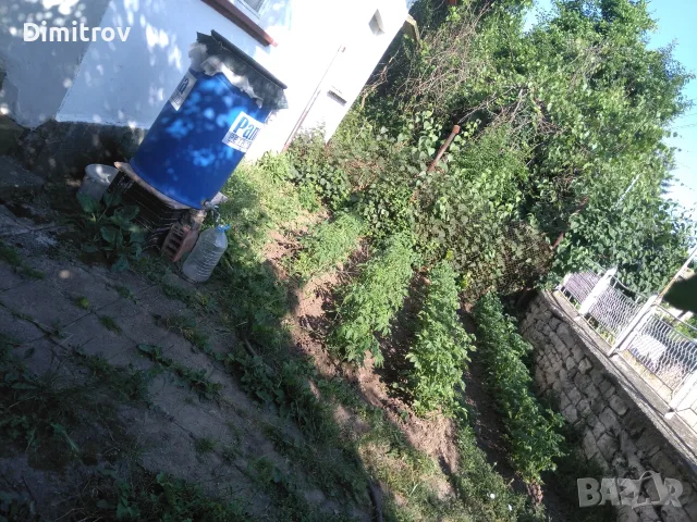 Продавам малък имот в с.Телиш Плевенско, снимка 4 - Къщи - 56218803