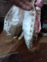 кукла порцелан , снимка 1 - Кукли - 44586915
