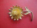 Позлатена брошка 2, снимка 3