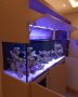 Изработвам соленоводни аквариуми по желание и размер на клиента , снимка 12
