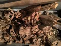 Продавам пакет дървени летвички/колчета, снимка 2