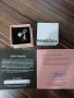 Pandora Disney Winnie the Pooh Birthday Dangle Charm, снимка 2