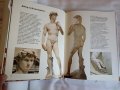 „Микеланджело“ от Робин Ричмънд, издателство „Абагар“ 1993 г., снимка 5