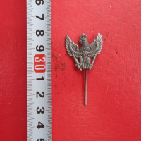Старинен армейски знак Орел, снимка 1 - Колекции - 44714500