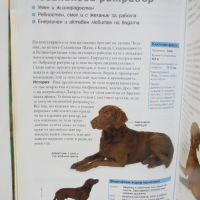 Книга Всичко за кучето - Брус Фогъл 2004 г., снимка 3 - Други - 36225980